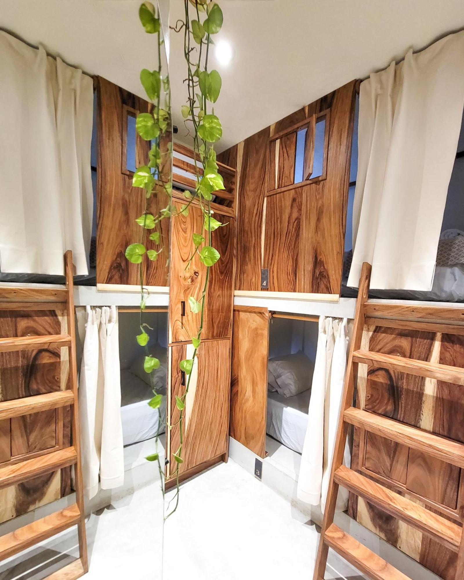 Caracola Boutique Hostel El Paredón Buena Vista 외부 사진